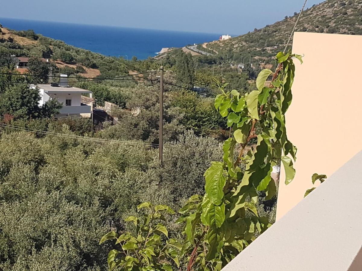 Sea Flower Villa Bali Crete Vlikhádha Esterno foto