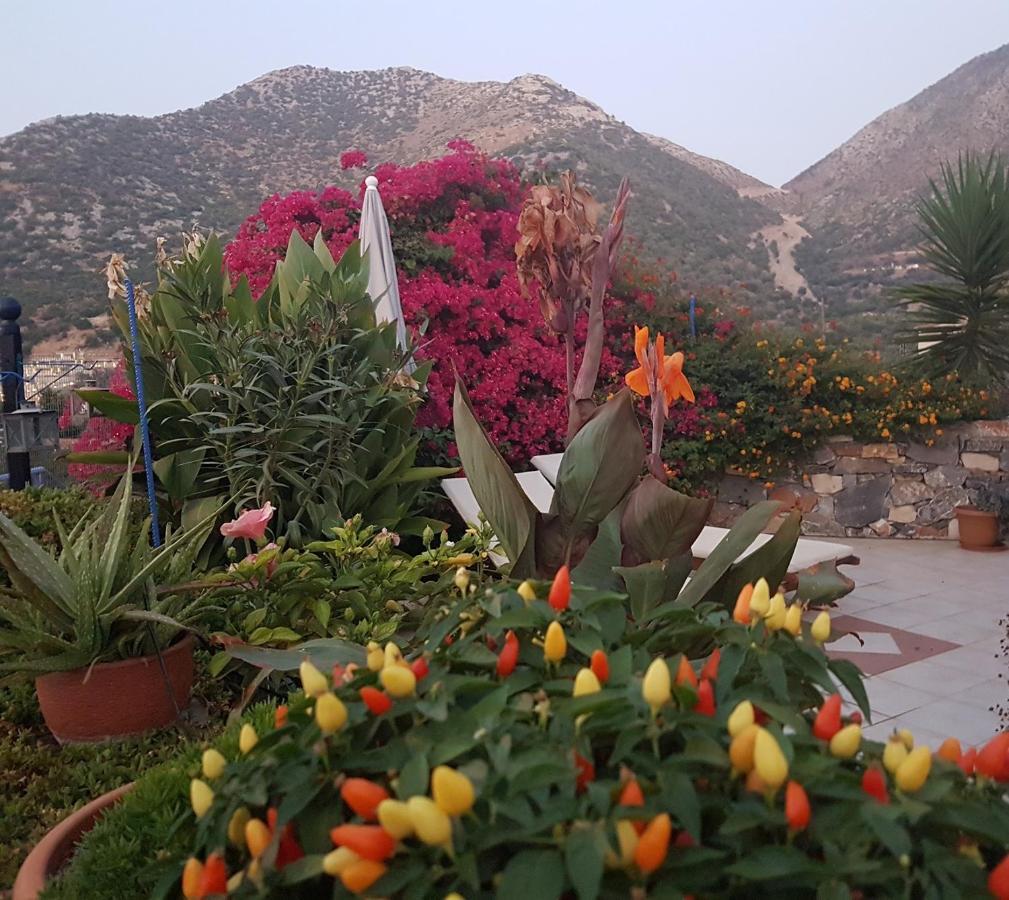 Sea Flower Villa Bali Crete Vlikhádha Esterno foto
