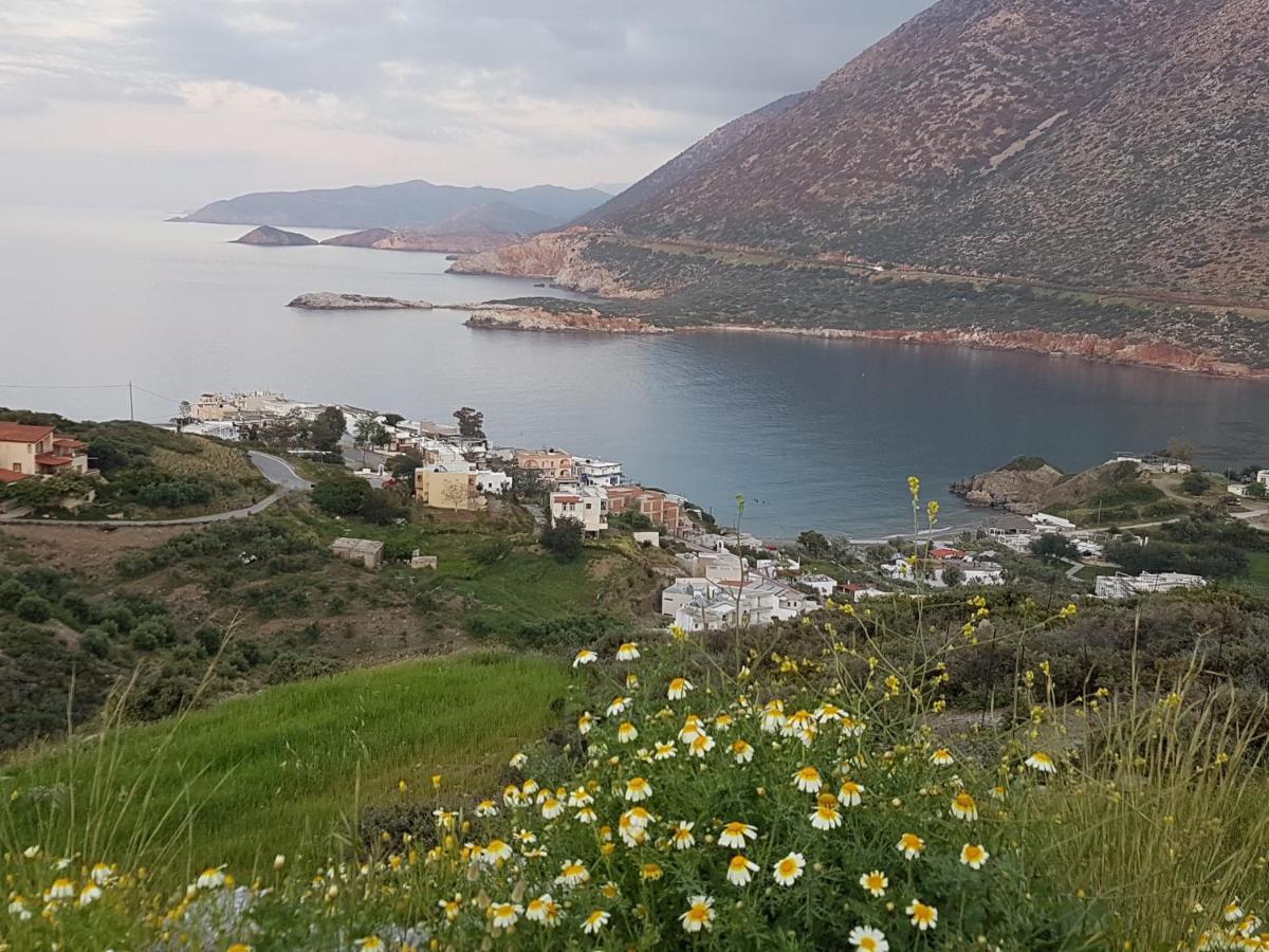 Sea Flower Villa Bali Crete Vlikhádha Esterno foto