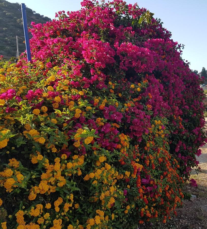 Sea Flower Villa Bali Crete Vlikhádha Esterno foto